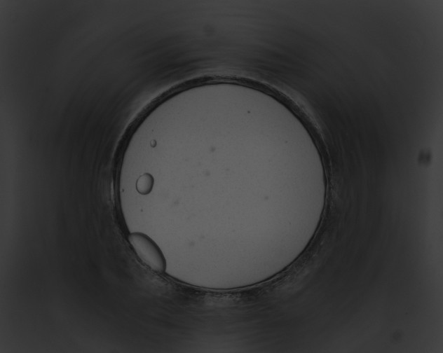 X0000091900887200710031200