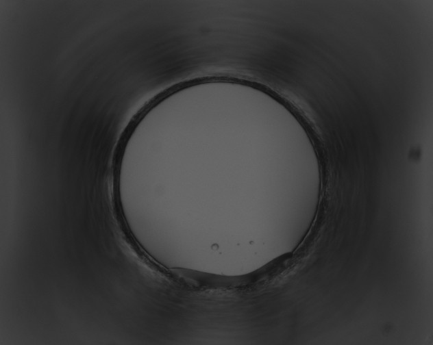 X0000091900888200710031200