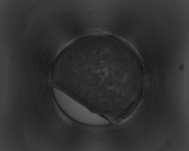 X0000091900889200710031200