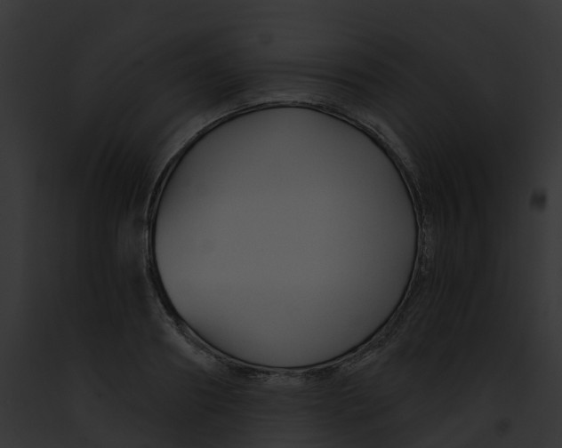 X0000091900890200710031200