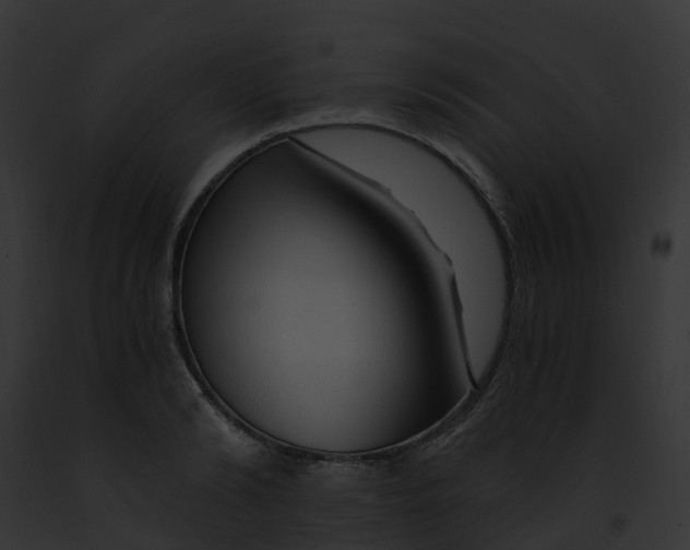 X0000091900894200710031200