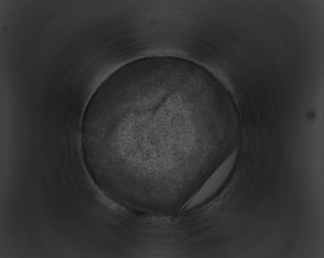 X0000091900895200710031200