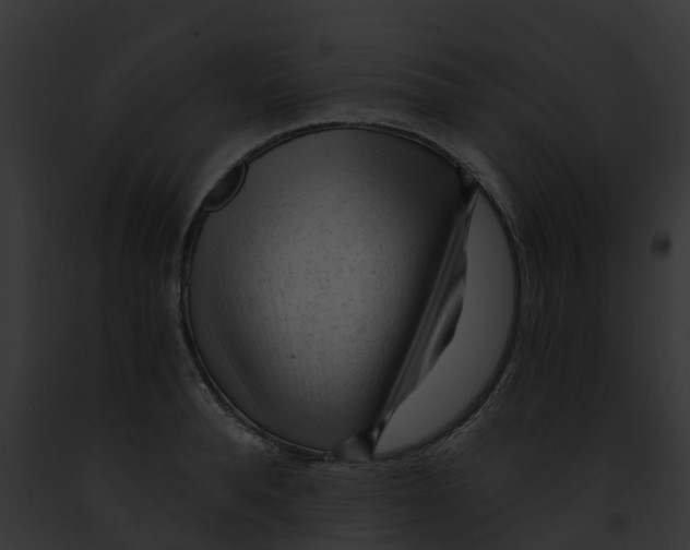 X0000091900896200710031200