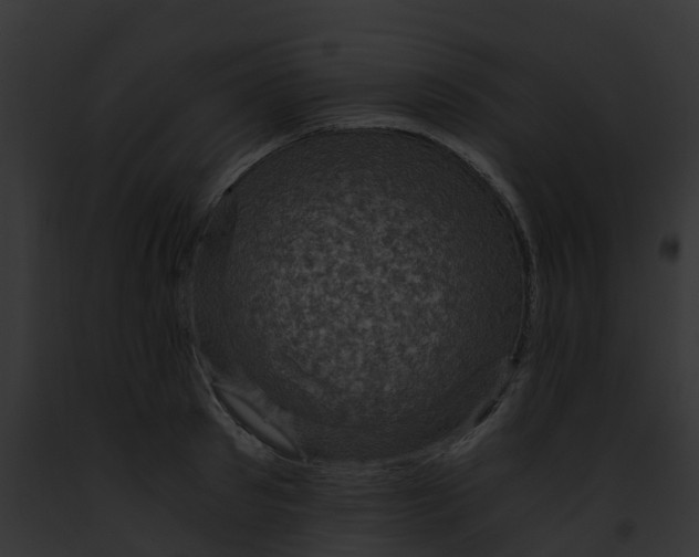 X0000091900897200710031200