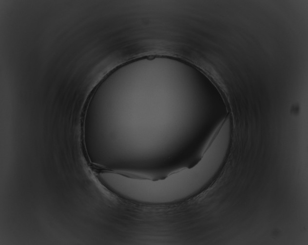 X0000091900898200710031200