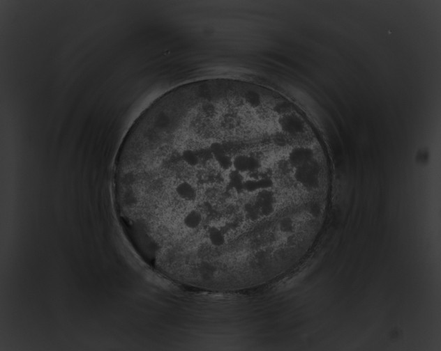 X0000091900899200710031200