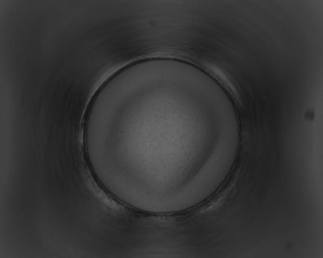 X0000091900900200710031200