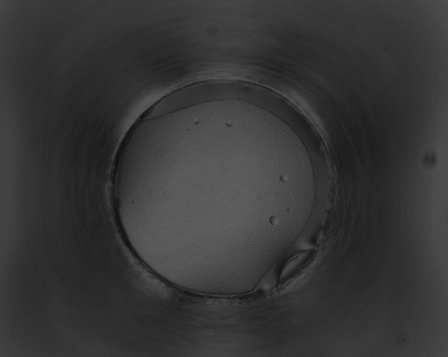 X0000091900901200710031200