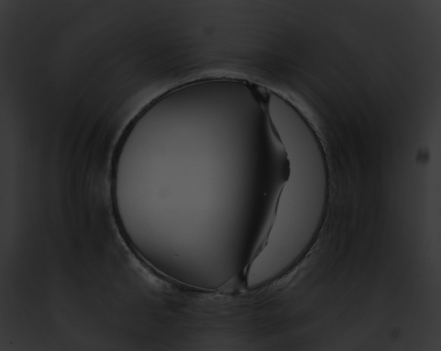 X0000091900902200710031200