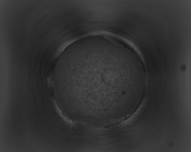 X0000091900905200710031200