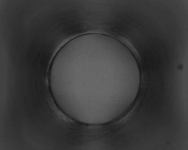 X0000091900908200710031159