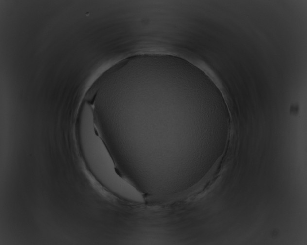 X0000091900909200710031159