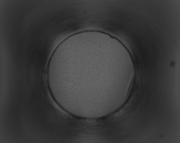 X0000091900911200710031159