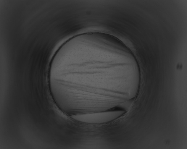 X0000091900912200710031159