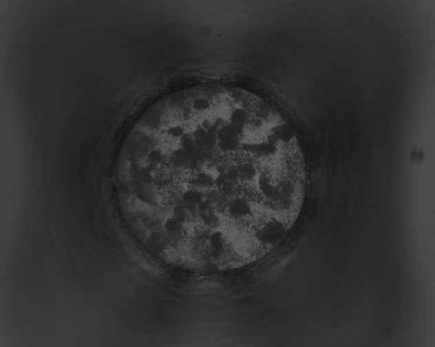 X0000091900913200710031159