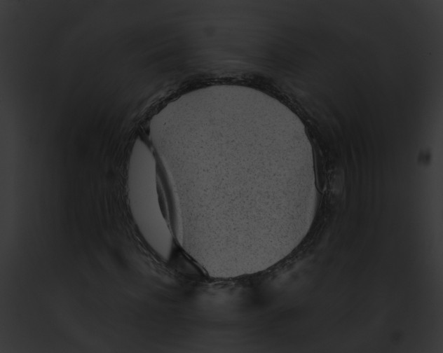 X0000091900916200710031159