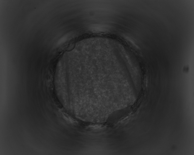 X0000091900917200710031159