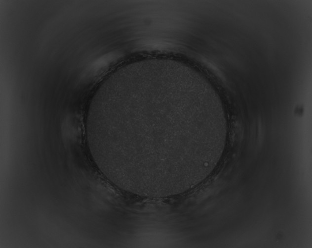 X0000091900918200710031159