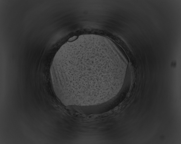 X0000091900919200710031159