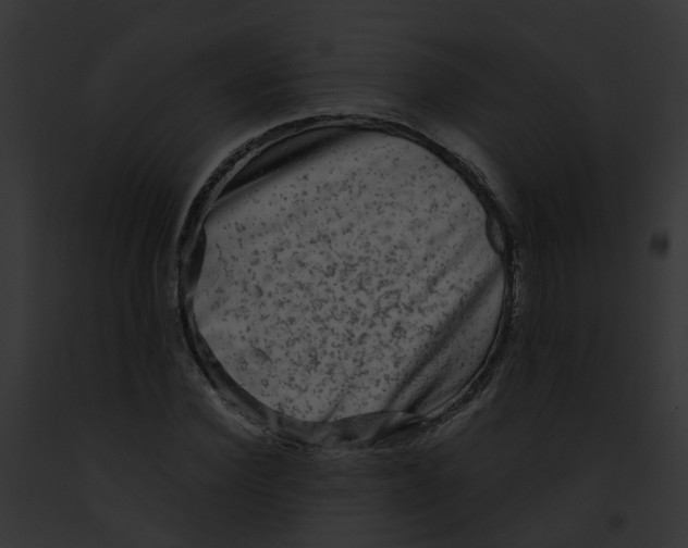 X0000091900924200710031159