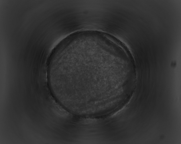 X0000091900925200710031159