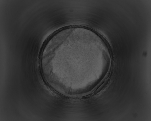 X0000091900928200710031159