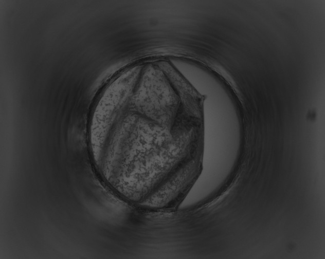 X0000091900930200710031159