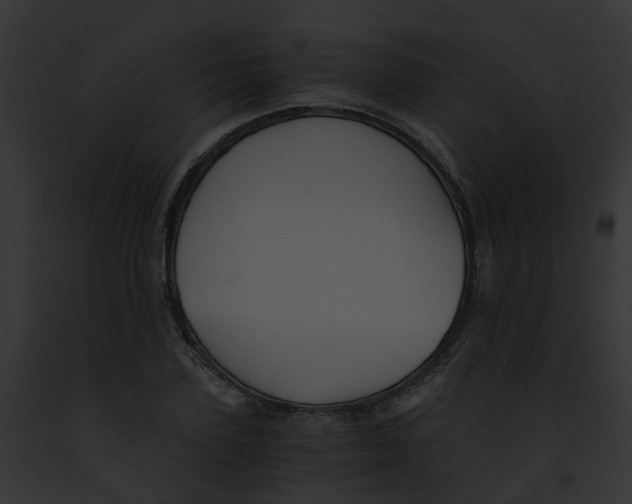 X0000091900931200710031159