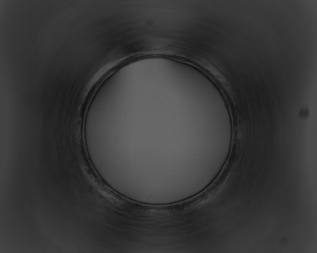 X0000091900933200710031159