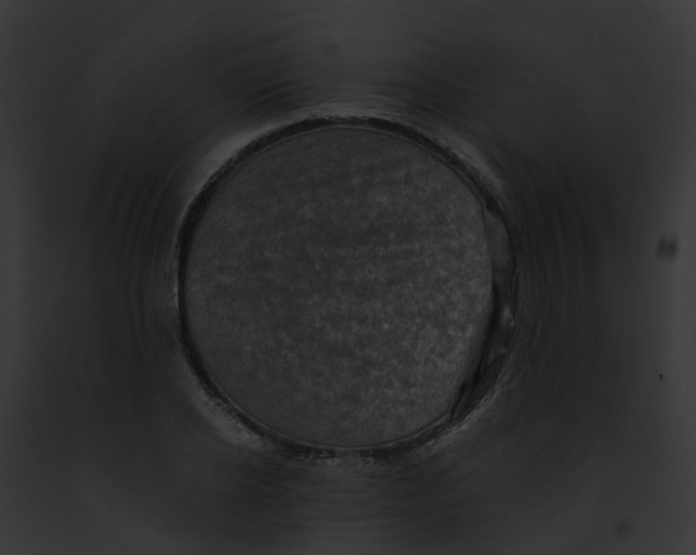 X0000091900934200710031159