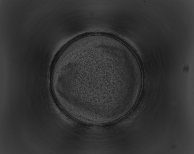 X0000091900935200710031159