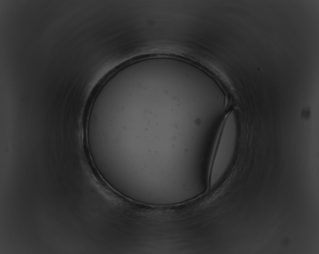 X0000091900936200710031159