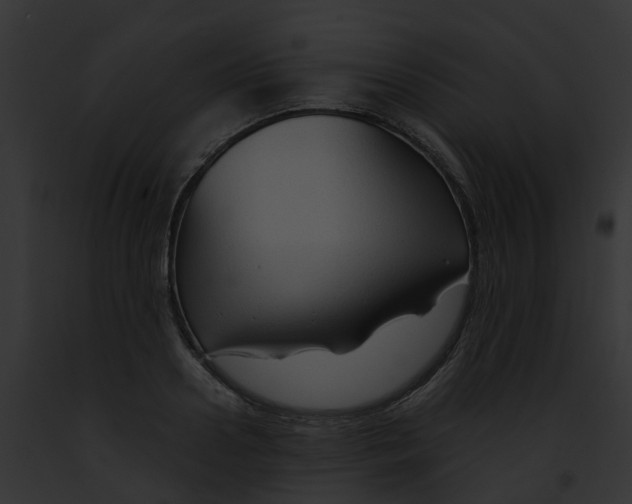 X0000091900938200710031159