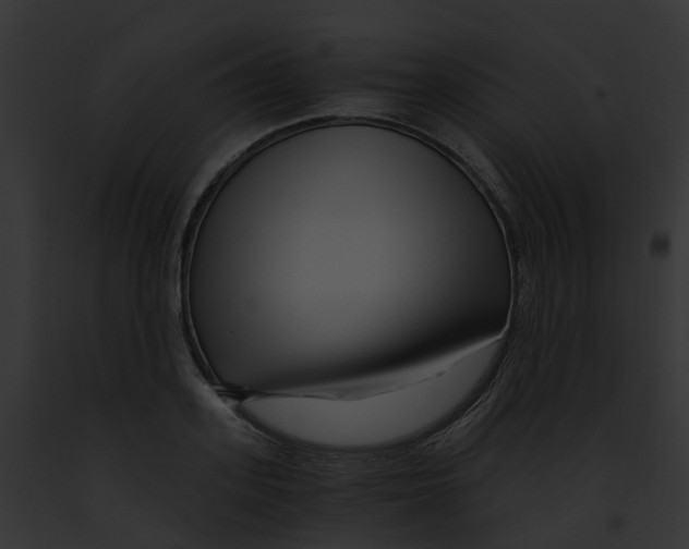 X0000091900939200710031159