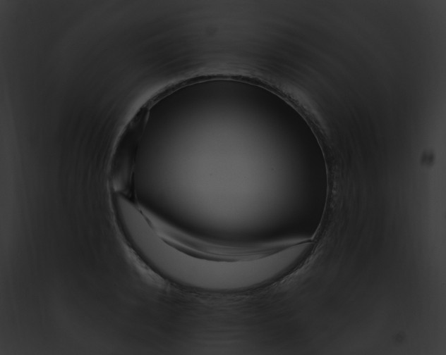 X0000091900942200710031159