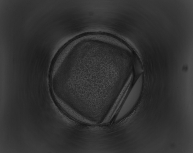 X0000091900943200710031159