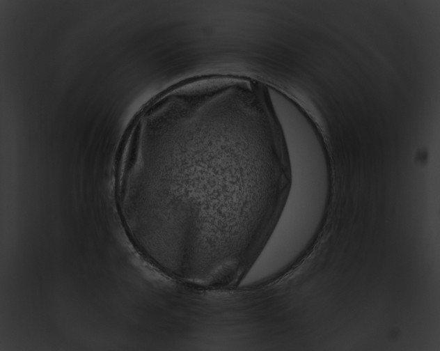 X0000091900944200710031159