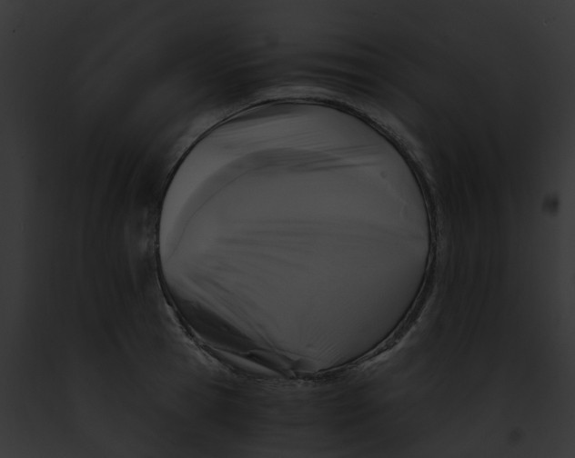 X0000091900945200710031159