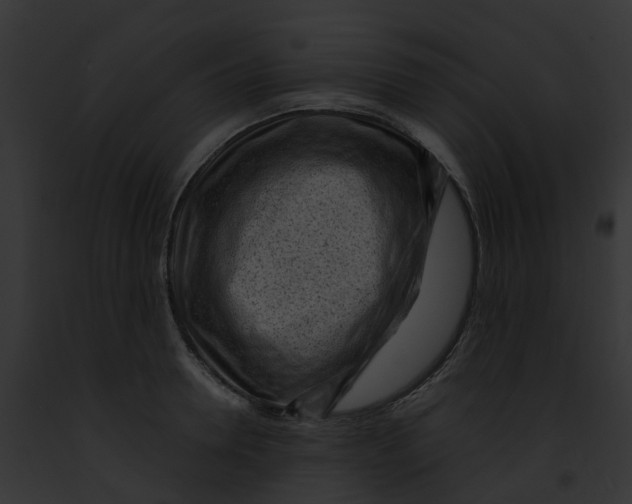 X0000091900946200710031159