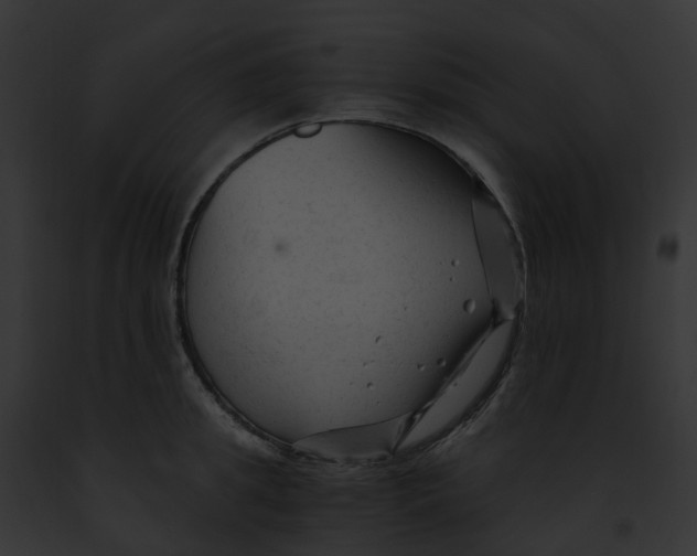 X0000091900949200710031159