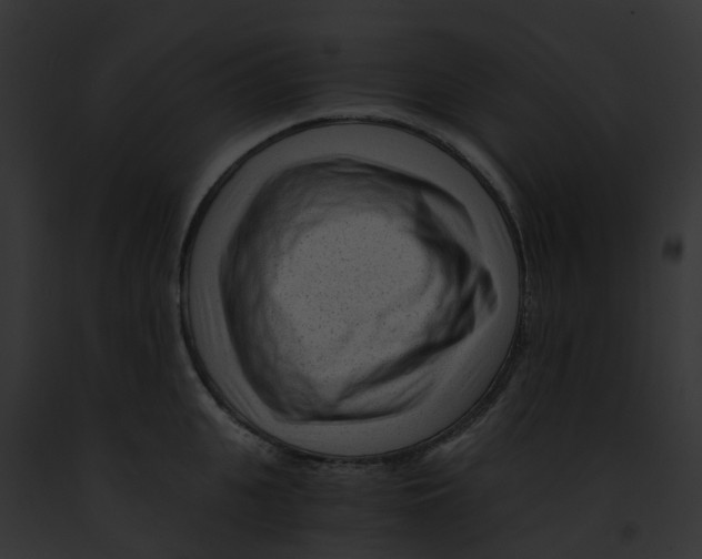 X0000091900951200710031159