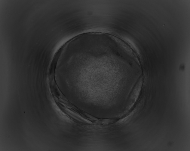 X0000091900952200710031159