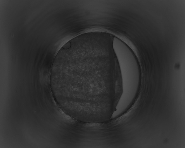 X0000091900953200710031159