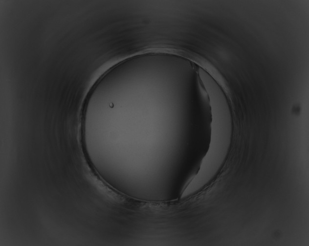 X0000091900955200710031159