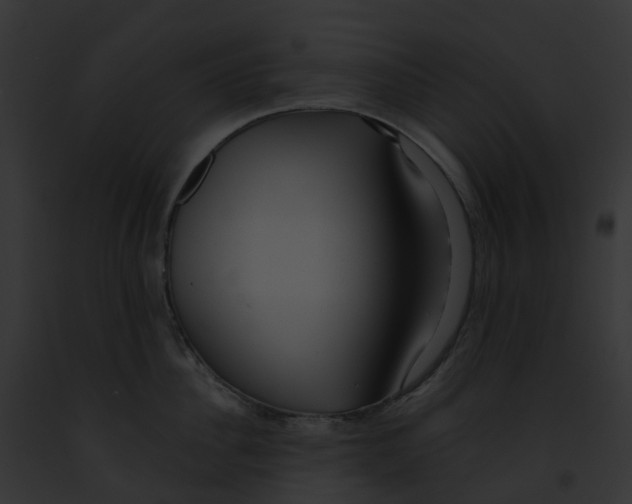 X0000091900956200710031159