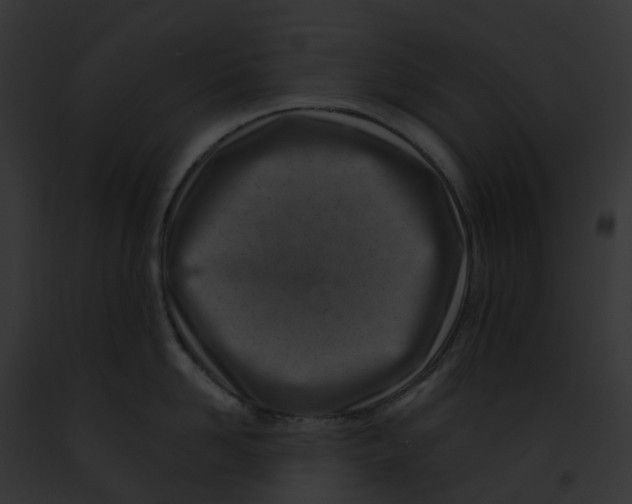 X0000091900958200710031159