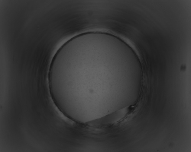 X0000091900959200710031159