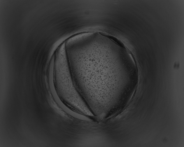 X0000091900960200710031159