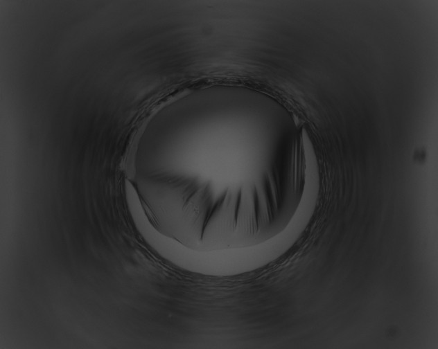 X0000091900964200710031159