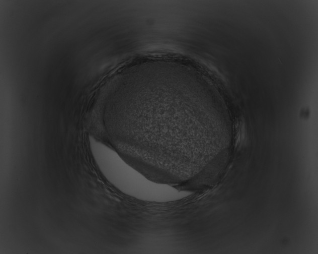 X0000091900965200710031159